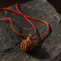 Authentic 7 Mukhi Rudraksha | Wealth & Prosperity