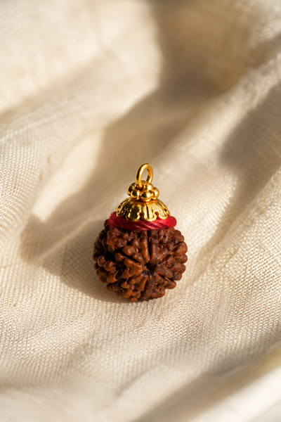 Rudraksha